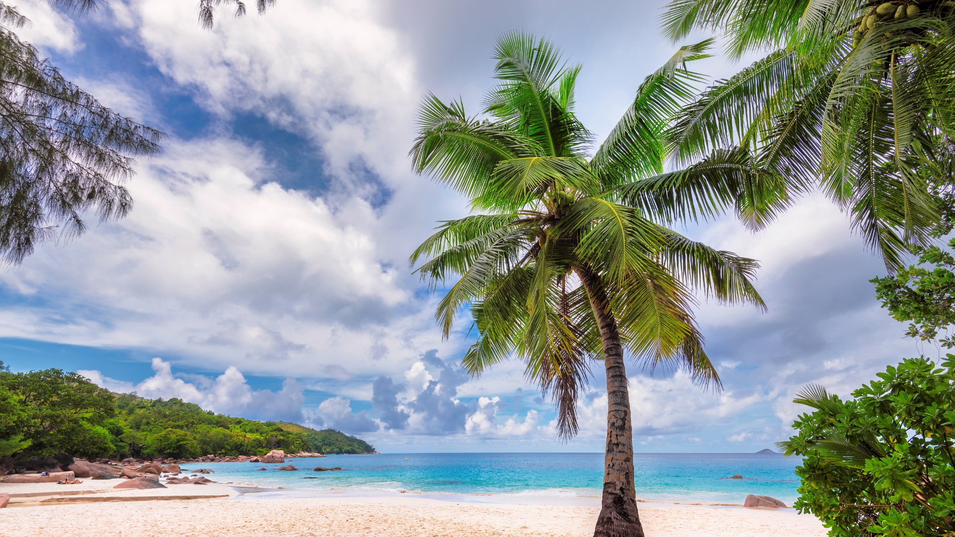 マレーシアで夕日を眺めながら次のキャリアを考える様子